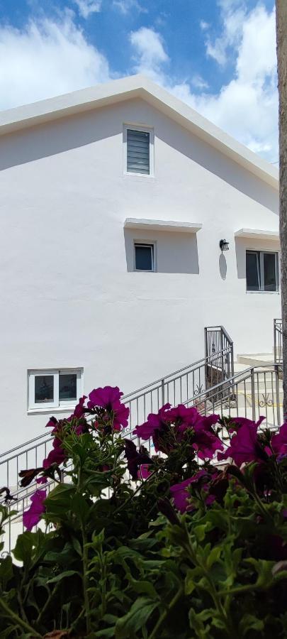 Dika Apartment Бар Экстерьер фото